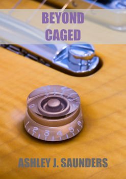 Beyond CAGED ebook